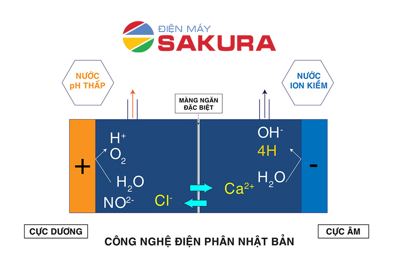 Lõi ion kiềm giàu Hydrogen T505 trải qua quá trình phân ly phân tử theo phản ứng: H2O → H+ + OH-
