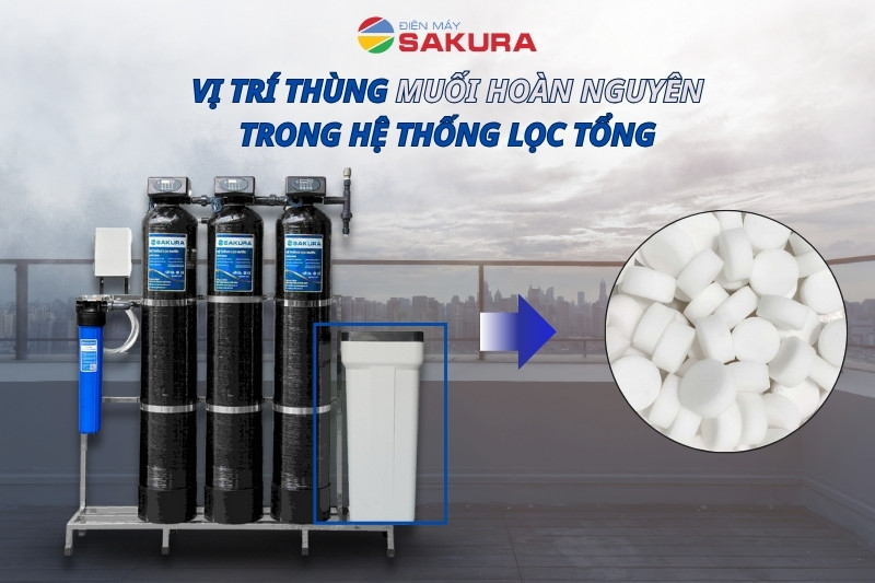  Muối hoàn nguyên thay thế cho lọc tổng 