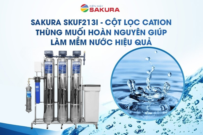 Cột lọc Cation kết hợp với muối hoàn nguyên làm mềm nước hiệu quả