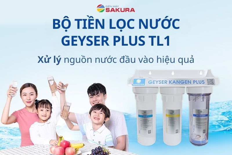 Bộ tiền lọc Geyser Plus TL1 xử lý hiệu quả nguồn nước đầu vào