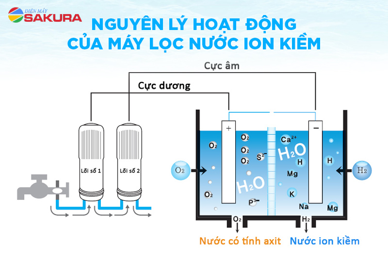 Nguyên lý hoạt động của máy lọc nước ion kiềm điện giải