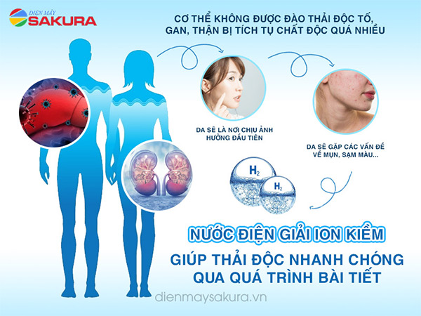 uống gì để chống lão hóa