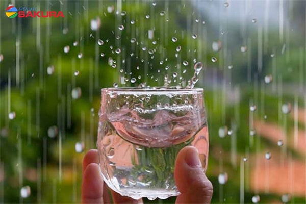 Cách sử dụng nước mưa hiệu quả