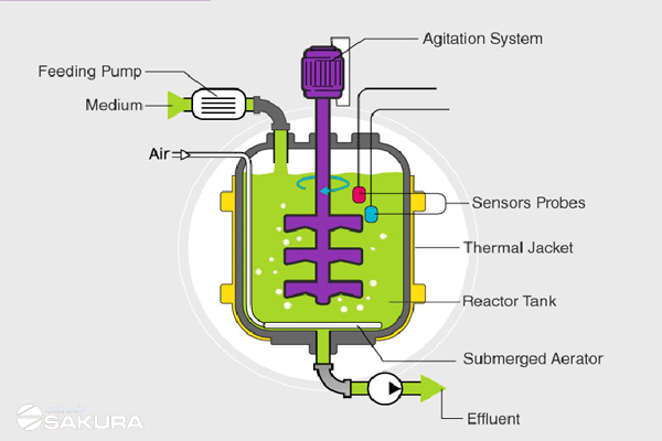 Tìm hiểu về Bioreactor là gì?