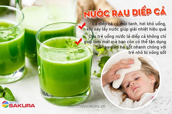 Những Lưu Ý Khi Sử Dụng Rau Diếp Cá