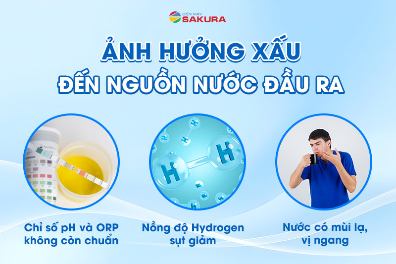 Chất lượng nước bị ảnh hưởng xấu khi không vệ sinh thường xuyên