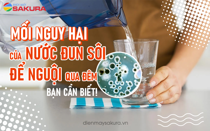Có nên uống nước đun sôi để nguội qua đêm? | Dienmaysakura.vn