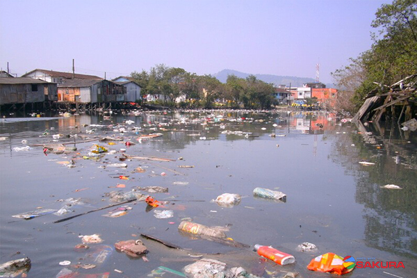 Ô nhiễm nguồn nước do rác thải trong sinh hoạt