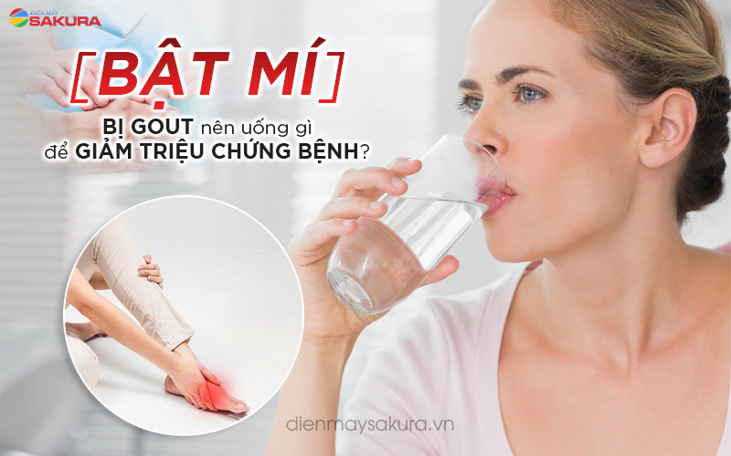 [BẬT MÍ] Bị Gout Nên Uống Gì Để Giảm Triệu Chứng Bệnh?
