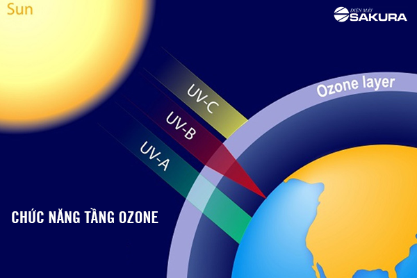 Chức năng của tầng ozon
