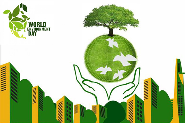 Nhấn vào ảnh để phóng to Lịch sử ra đời của Ngày môi trường thế giới