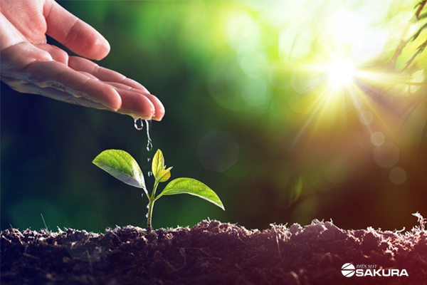 Nhấn vào ảnh để phóng to Ngày môi trường thế giới và ý nghĩa đặc biệt đằng sau