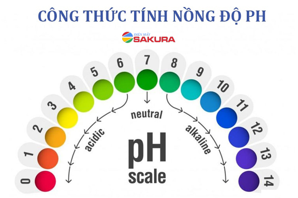 Tìm hiểu công thức tính pH