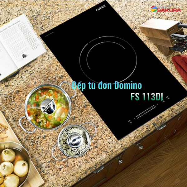 Bếp từ đơn Domino FS 113DI