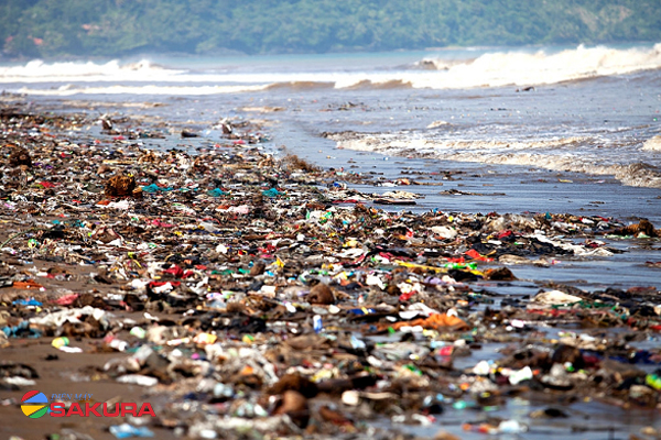Thực trạng ô nhiễm môi trường biển