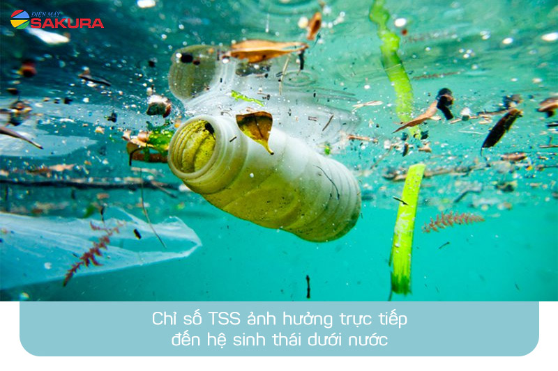 Chỉ số TSS ảnh hưởng như thế nào đến môi trường nước