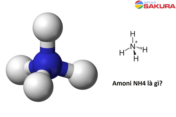 Tìm hiểu về Amoni là gì?