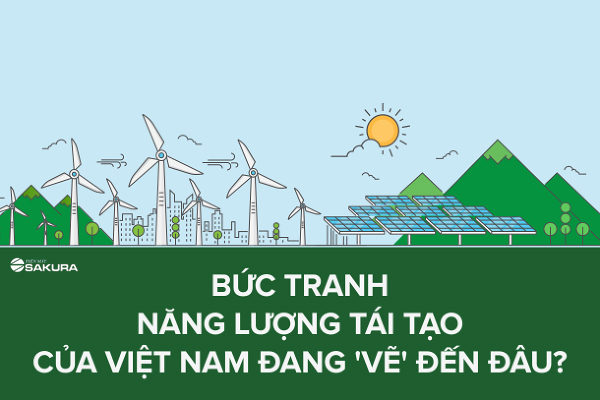 Bức tranh phát triển năng lượng tái tạo của Việt Nam đang được vẽ đến đâu?