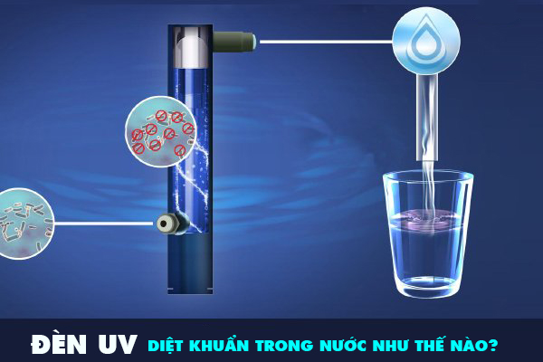 Đèn UV diệt khuẩn trong nước như thế nào và tác dụng