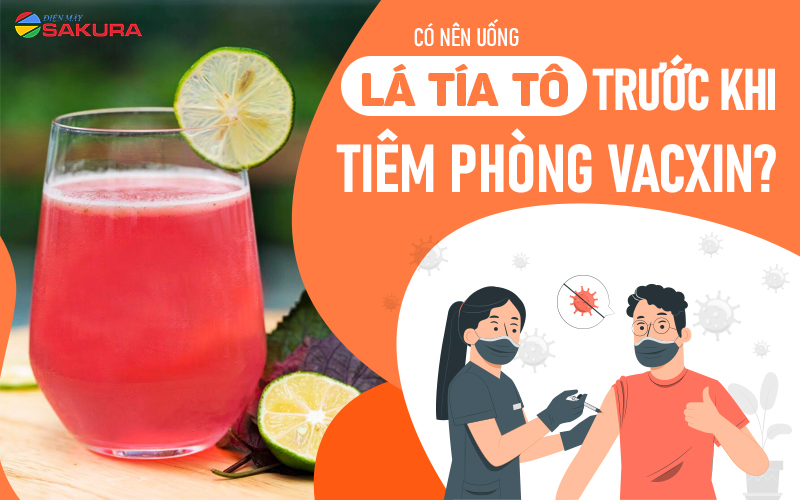 MẸ UỐNG TÍA TÔ TRƯỚC KHI CON TIÊM VACCINE ĐỂ GIẢM SỐT