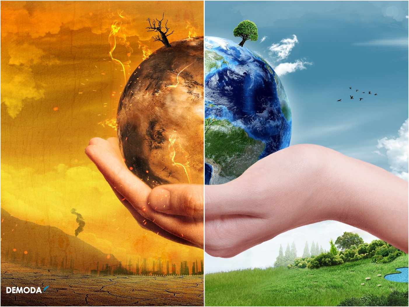 Ô nhiễm môi trường đất: Nguyên nhân, thực trạng và biện pháp khắc phục