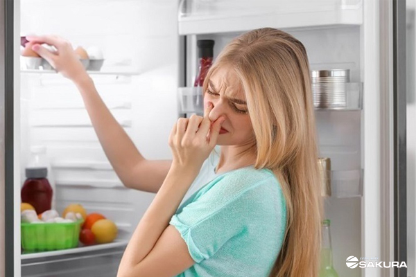 7 cách khử mùi hôi tủ lạnh đơn giản, hiệu quả ngay tại nhà